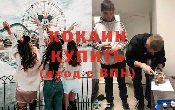 дурь Алексин