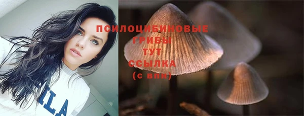 дурь Алексин