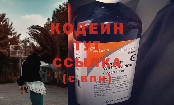 дурь Алексин